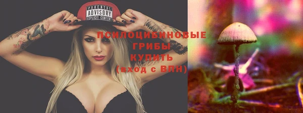 прущая мука Няндома