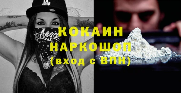 шишки Осташков