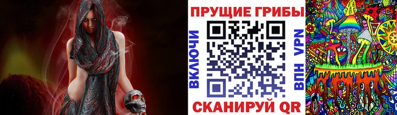 Псилоцибиновые грибы Psilocybine cubensis  кракен ТОР  Приморск 